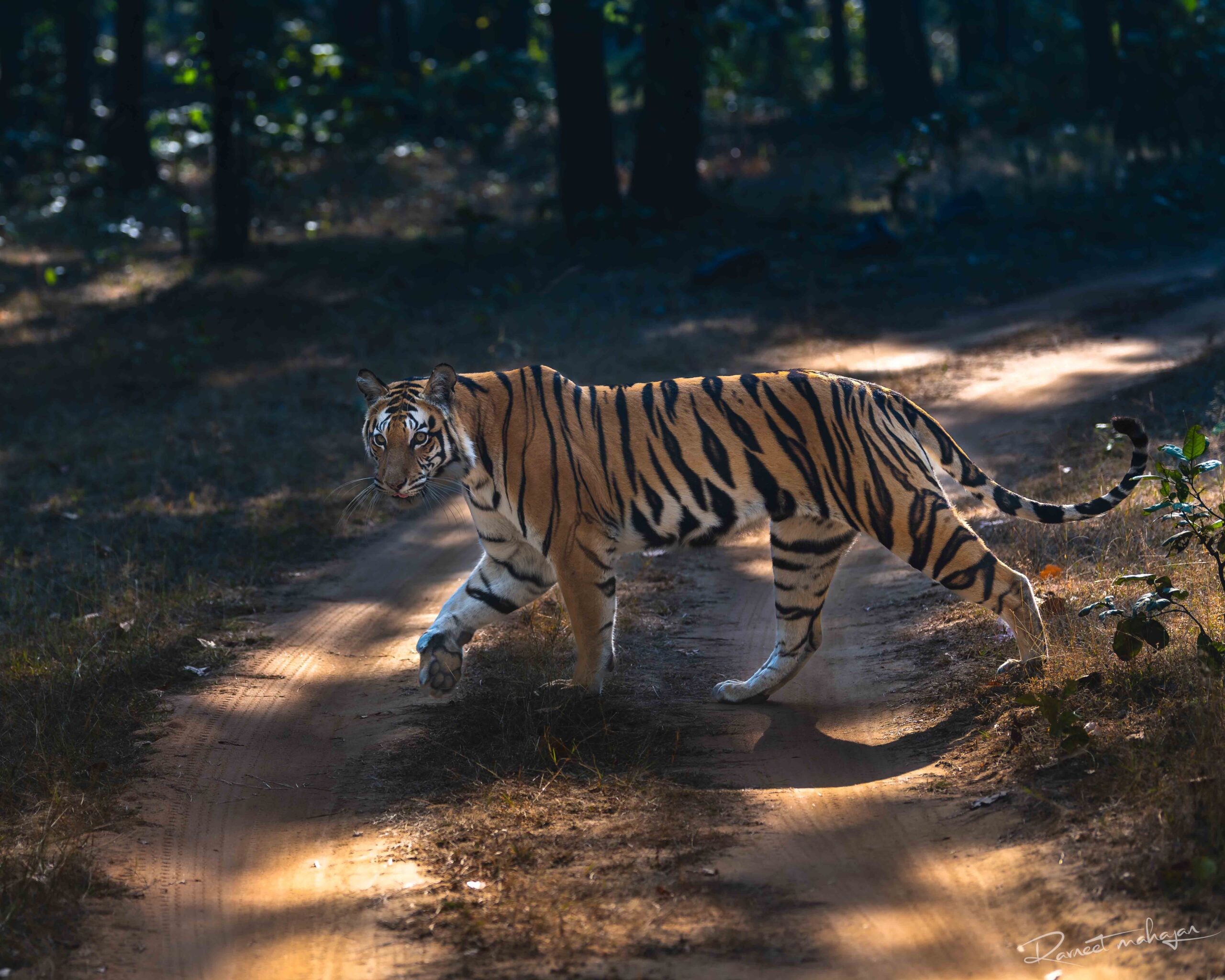 DSC_5889-Enhanced-NR