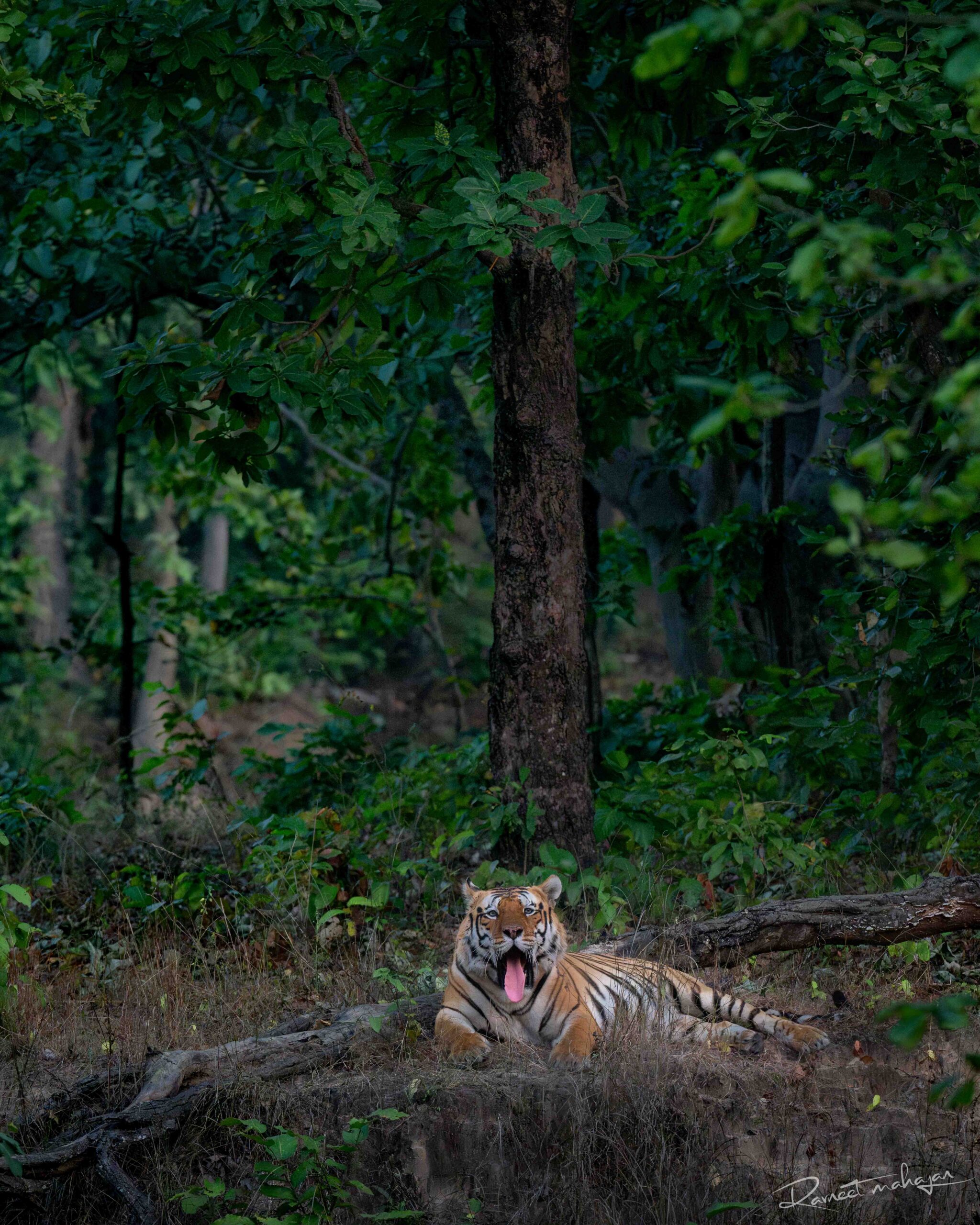 DSC_9424-Enhanced-NR